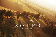 Load image into Gallery viewer, Soter Vineyards &quot;Mineral Springs Ranch&quot; Pinot Noir 2019

