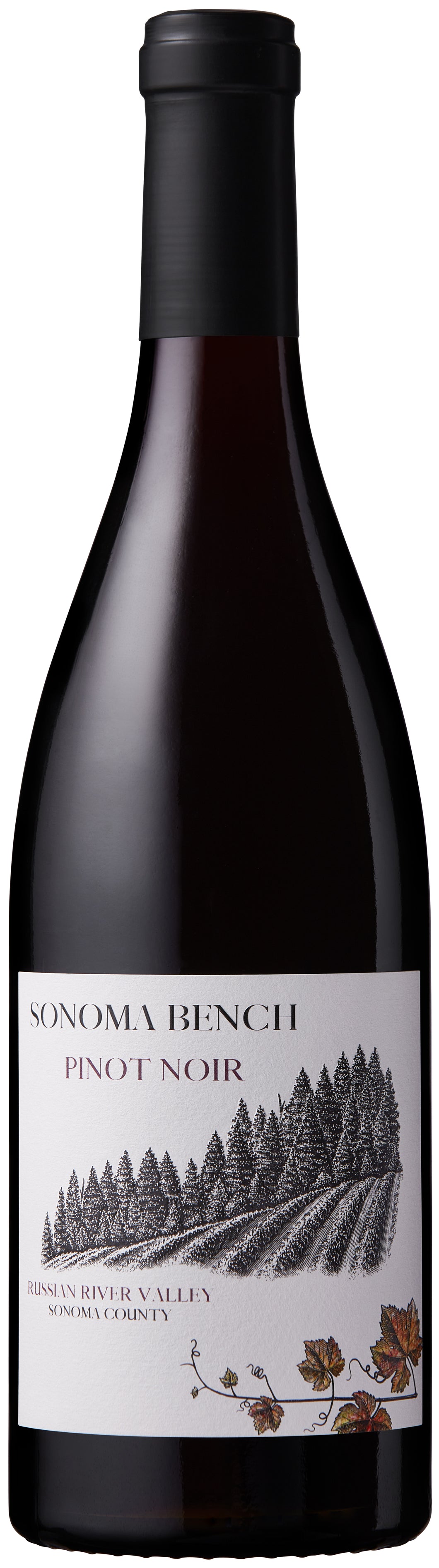 Sonoma Bench Russian River Valley Pinot Noir 2021