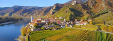 Load image into Gallery viewer, Sepp Moser Riesling &quot;Ganstreiberin&quot; 2019
